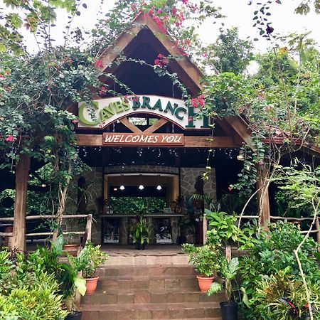 Ian Anderson Caves Branch Jungle Lodge Belmopan Eksteriør bilde